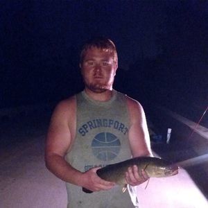 Meet your Posher, Thomas